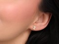KL_12961__21.jpg